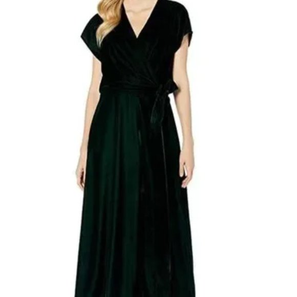 Ralph Lauren Velvet Dress NWT size 2 - Picture 7 of 10